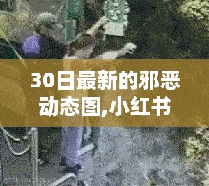 小红书独家揭秘，全新邪恶动态图盛宴，视觉震撼的30日更新