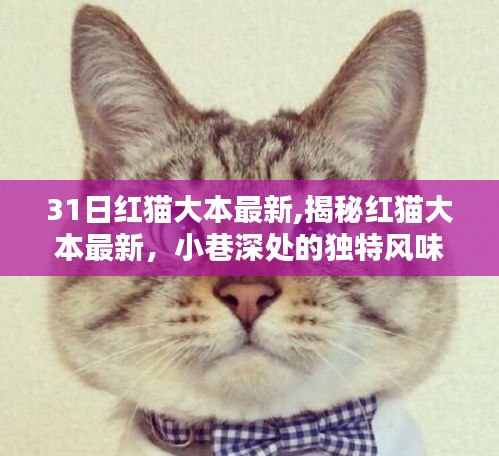 揭秘红猫大本最新与小巷深处的独特风味