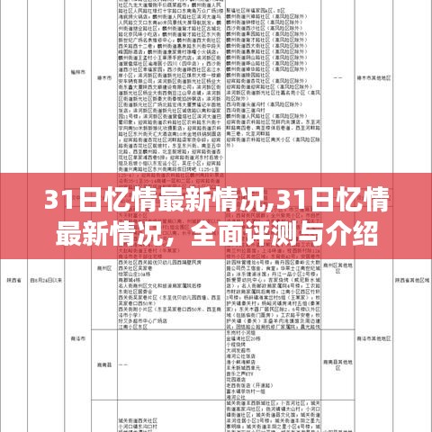 最新消息揭秘，关于31日忆情的全面评测与介绍