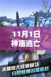 2024年11月1日 第14页