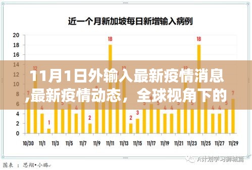 全球疫情最新动态深度解读，11月1日外来疫情消息更新