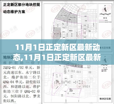 2024年11月2日 第42页