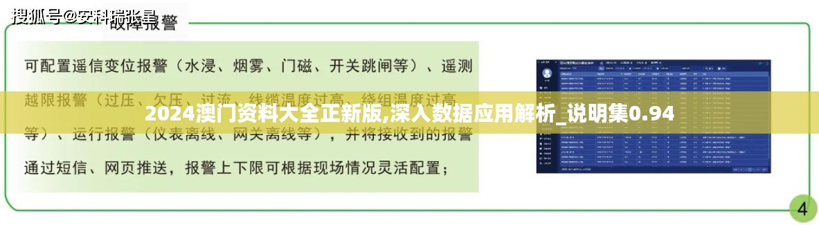 2024澳门资料大全正新版,深入数据应用解析_说明集0.94