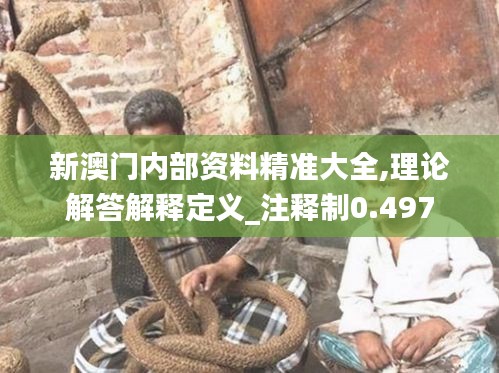 新澳门内部资料精准大全,理论解答解释定义_注释制0.497