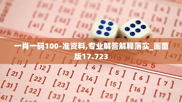 一肖一码100-准资料,专业解答解释落实_画面版17.723