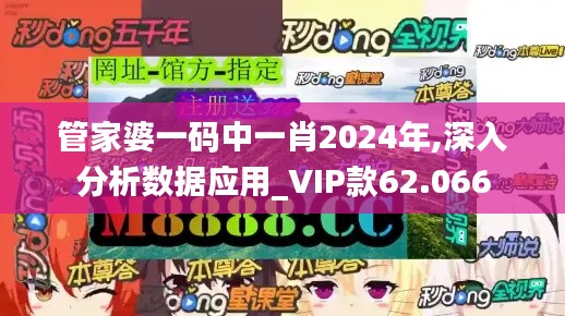 管家婆一码中一肖2024年,深入分析数据应用_vip款62.066