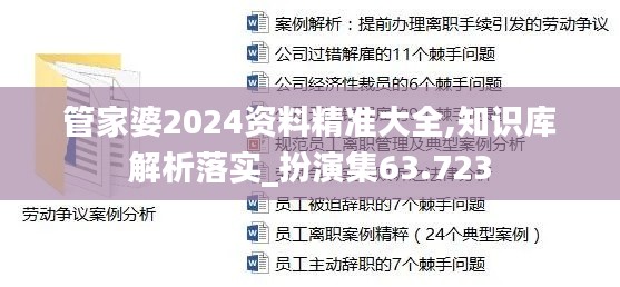 管家婆2024资料精准大全,知识库解析落实_扮演集63.723