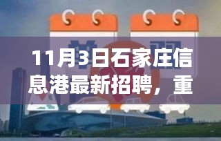 11月3日石家庄信息港最新招聘大揭秘，优质职位等你来挑战