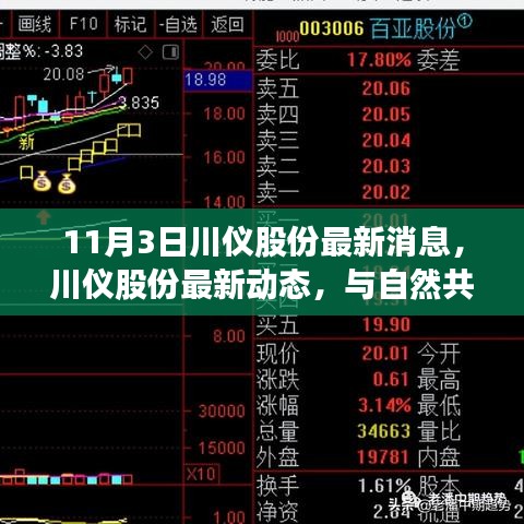 探寻心灵的宁静港湾，川仪股份最新动态与自然共舞，最新消息一览（11月3日）