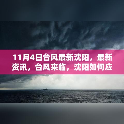 11月4日台风最新资讯，沈阳如何应对台风来袭