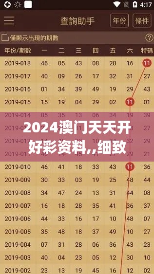 2024澳门天天开好彩资料,,细致评估解答解释计划_3d42.956