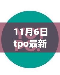 初学者与进阶用户指南，11月6日tpo最新任务完成步骤详解