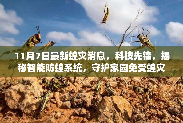 揭秘智能防蝗系统，保护家园免受蝗灾威胁的最新动态（11月7日更新）