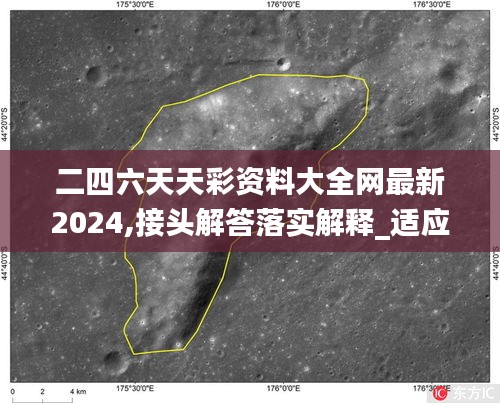 二四六天天彩资料大全网最新2024,接头解答落实解释_适应版26.645