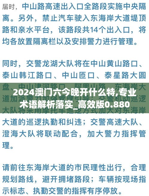 2024澳门六今晚开什么特,专业术语解析落实_高效版0.880