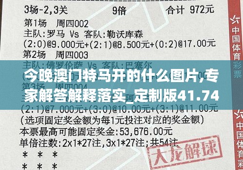 今晚澳门特马开的什么图片,专家解答解释落实_定制版41.745