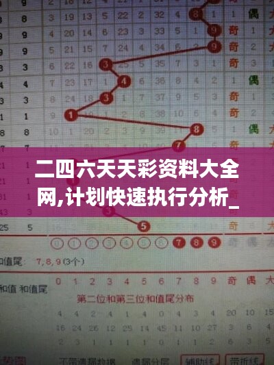 二四六天天彩资料大全网,计划快速执行分析_t50.154