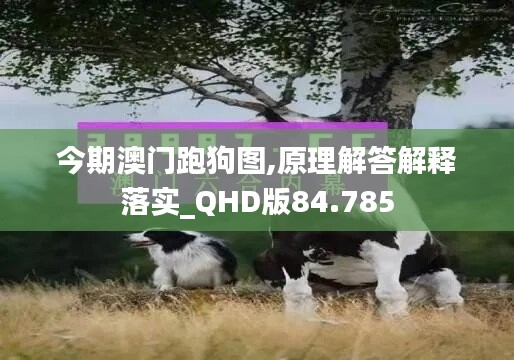 心急如焚 第8页