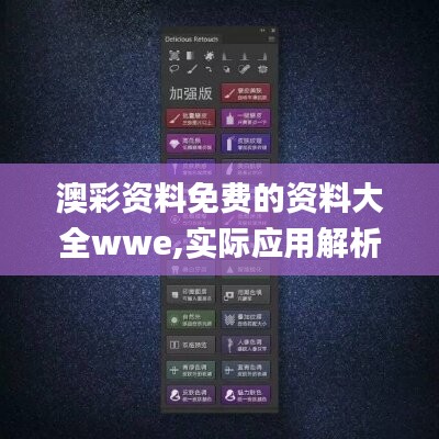 澳彩资料免费的资料大全wwe,实际应用解析说明_完整集30.484