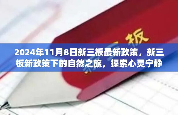 新三板新政策下的自然之旅，探索心灵宁静的奇妙旅程（2024年11月8日最新政策解读）