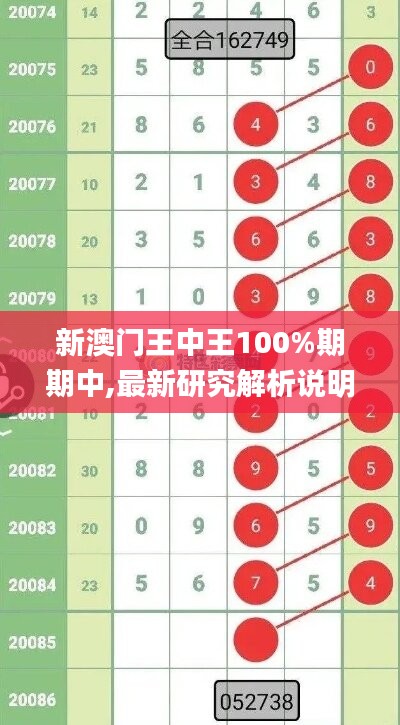 新澳门王中王100%期期中,最新研究解析说明_探险版jxy33.67