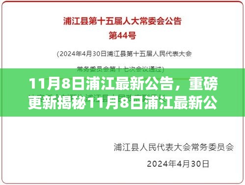 重磅揭秘，浦江最新公告深度解读与全方位影响