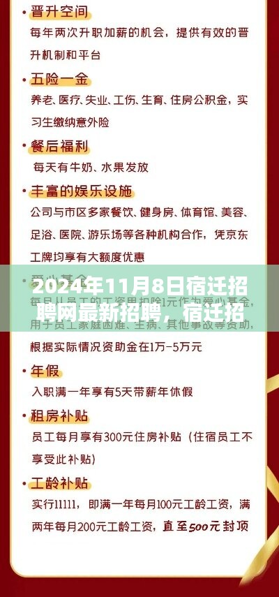 2024年11月8日宿迁招聘网盛况纪实，聚焦最新职业机遇与影响