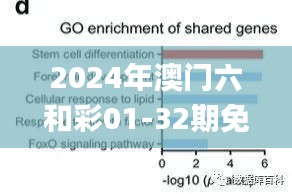 2024年澳门六和彩01-32期免费资料查询及分析解读_官方smn562.18版