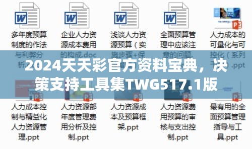 2024天天彩官方资料宝典，决策支持工具集twg517.1版