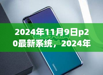 华为p20最新系统升级指南，零基础教程，轻松上手（2024年11月9日版）