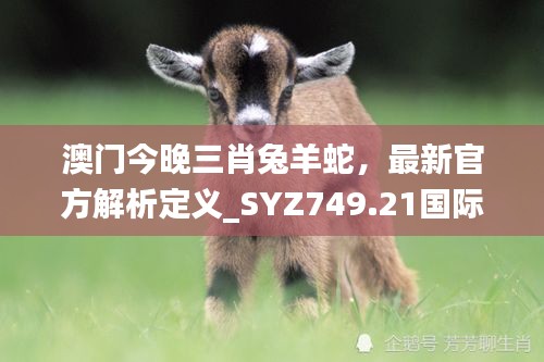 澳门今晚三肖兔羊蛇，最新官方解析定义_syz749.21国际版