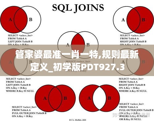 管家婆最准一肖一特,规则最新定义_初学版pdt927.3