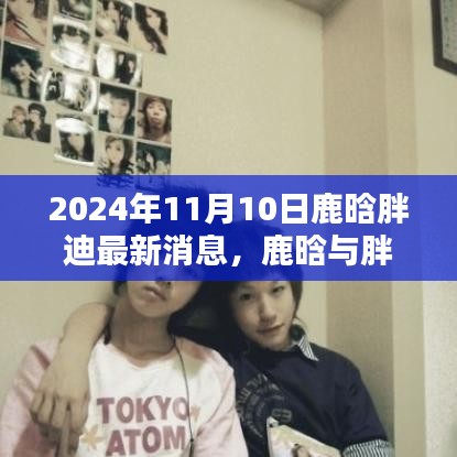 鹿晗与胖迪的奇遇日，揭秘隐藏小巷的特色小店，最新消息曝光（2024年11月10日）