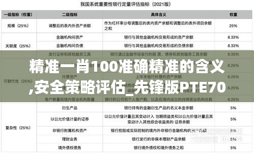 精准一肖100准确精准的含义,安全策略评估_先锋版pte708.92