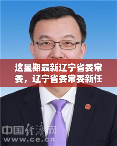 辽宁省委常委新任成员上任步骤指南揭晓