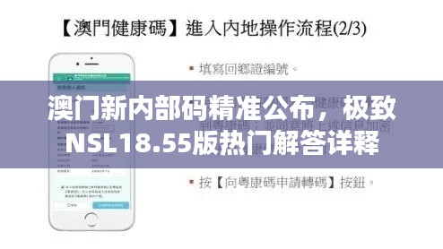 澳门新内部码精准公布，极致nsl18.55版热门解答详释