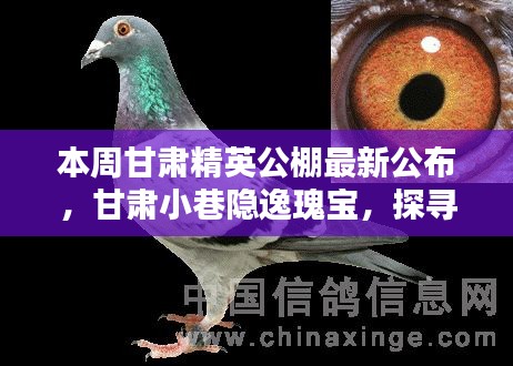 甘肃精英公棚新亮点揭秘，小巷隐逸瑰宝与特色小店探秘