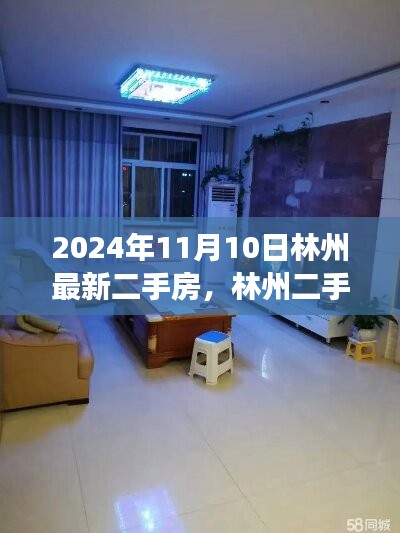 林州二手房新篇章，学习变化，自信成就未来（2024年11月10日最新资讯）