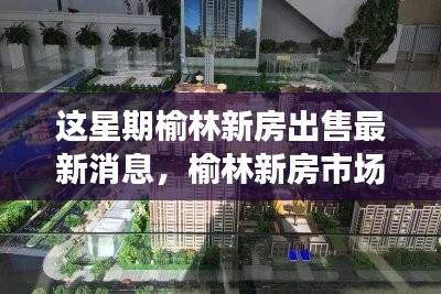 榆林新房市场最新动态，本周新房出售评测与介绍全新出炉