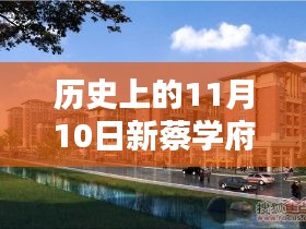 历史上的11月10日新蔡学府雅居的最新动态及其影响深度解析