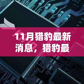 揭秘猎豹新品，深度解析与全面评测，最新动态尽在11月猎豹消息速递