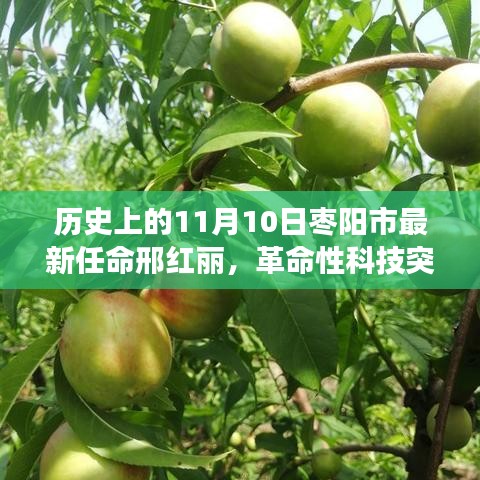 邢红丽掌舵下的枣阳市，革命性科技突破与新任高科技产品重磅发布