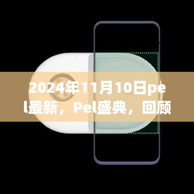 2024年11月10日pel盛典回顾，历史性时刻的璀璨瞬间